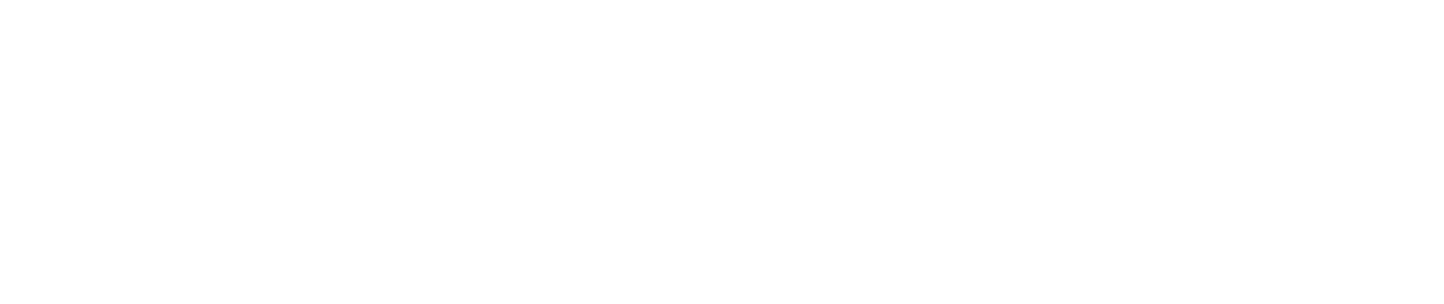 LiveSwitchLogo