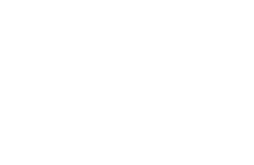sentinel-systems 1
